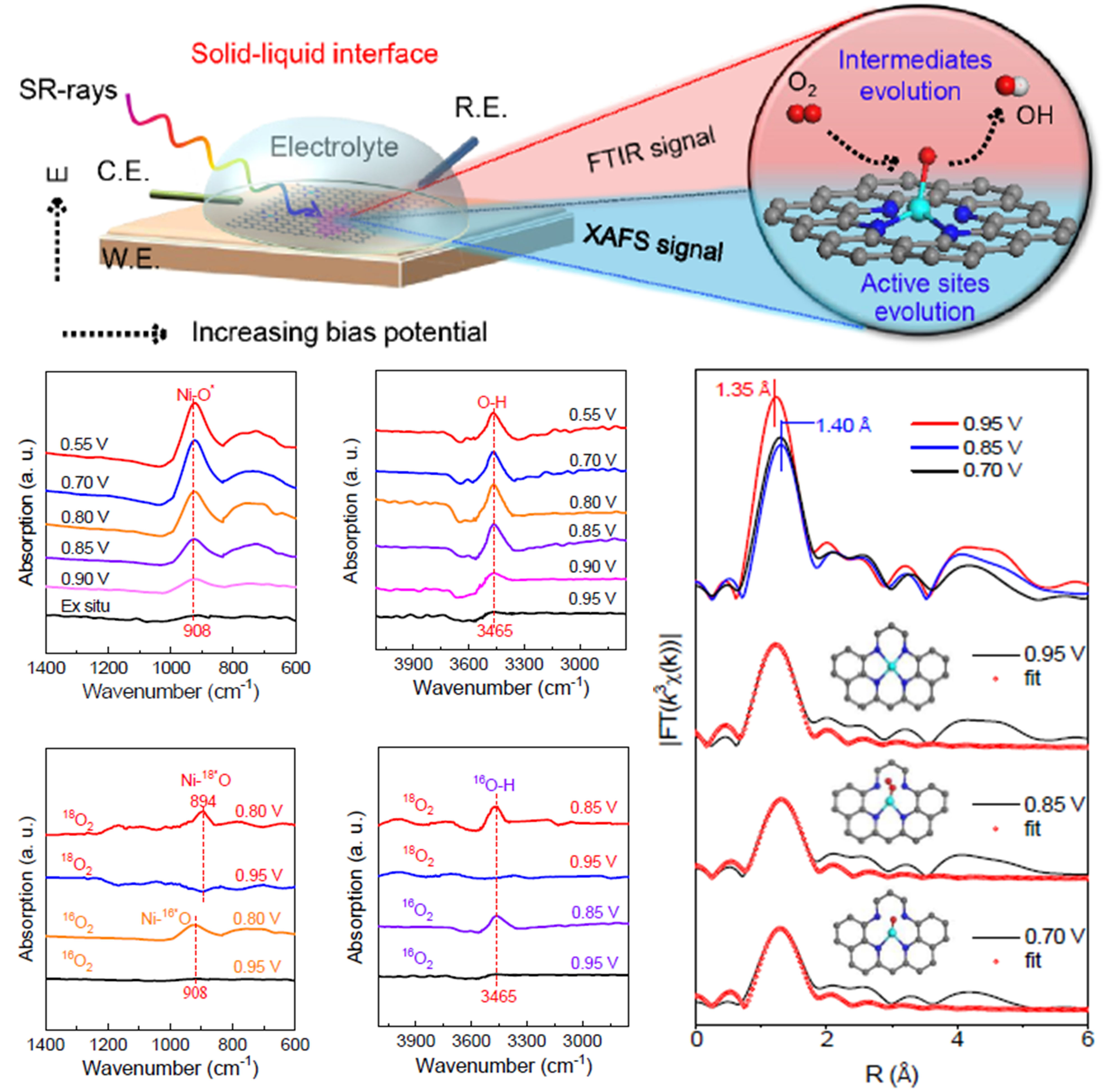 Dynamic evolution of solidliquid electrochemical interfaces over singleatom active sites